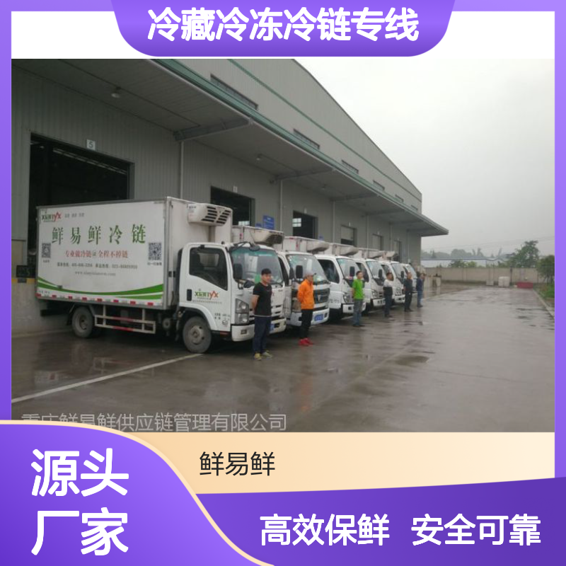 广东物流公司冷藏冷冻冷链专线直达 冷链运输 急件托运全程服务