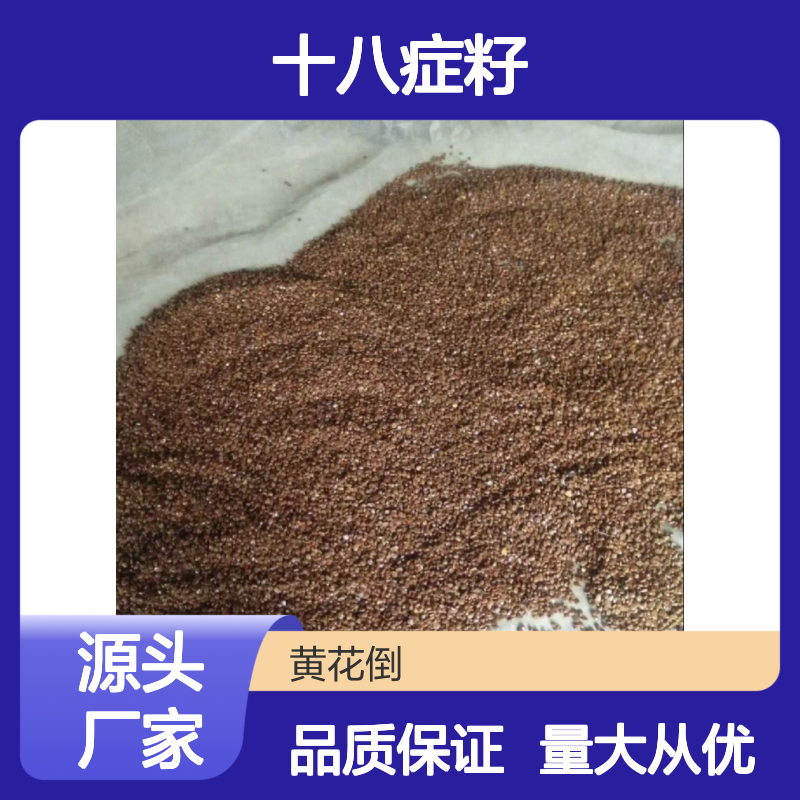 当年新采十八症籽 种植技术指导 产地直供 货源充足