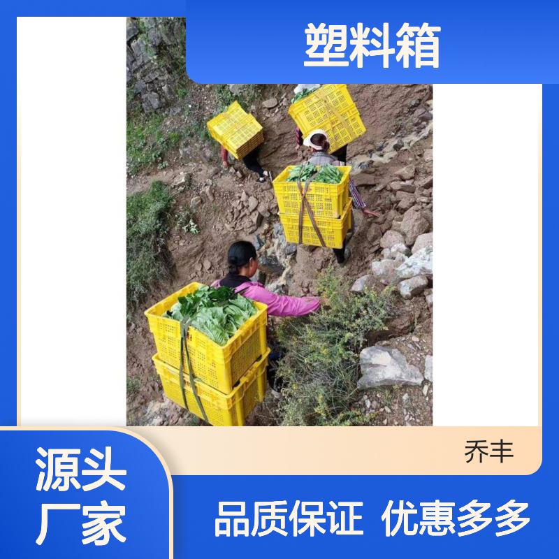 乔丰塑料箱 全新料耐摔型 规格多样 破损包赔 食品级材
