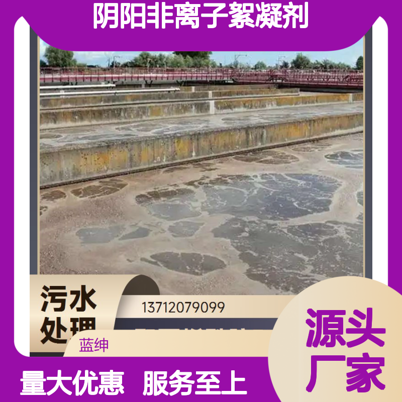 蓝绅环保阴阳非离子絮凝剂 聚丙烯酰胺PAM 高效除臭