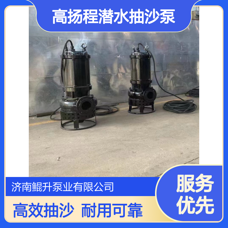 高扬程潜水抽沙泵 | 60 米扬程输送 500 米 | 钢厂电厂粉煤灰处理专用