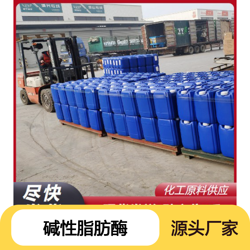 现货充足 碱性脂肪酶 9001-62-1 品种多样 10万酶活 试样发货