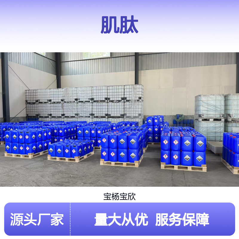 宝杨宝欣 305-84-0肌肽粉末结晶状 有机化学品 化妆品原料