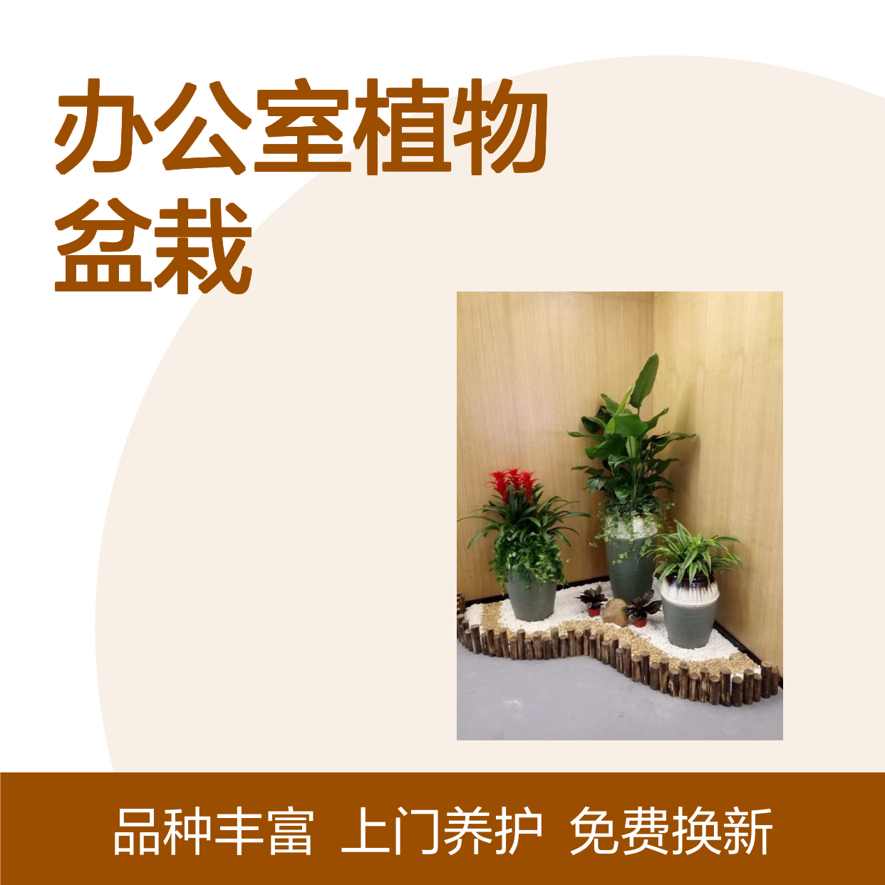 深 圳办公室植物盆栽摆放 固戍花卉租摆 定期上门养护 南韵竹风