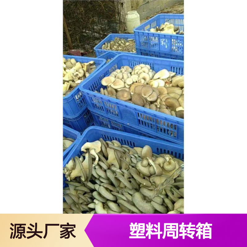 乔丰新A10#塑料周转箱 多种尺寸可选 质轻坚固
