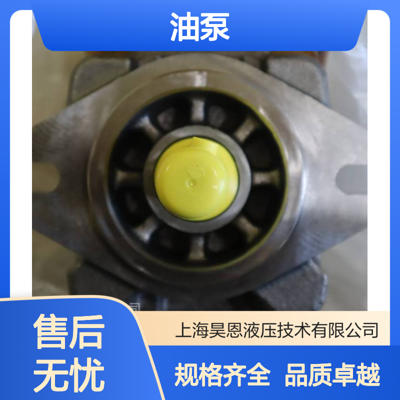 供应油泵 Rexroth FES25CA-3X/315LK4M R900979357