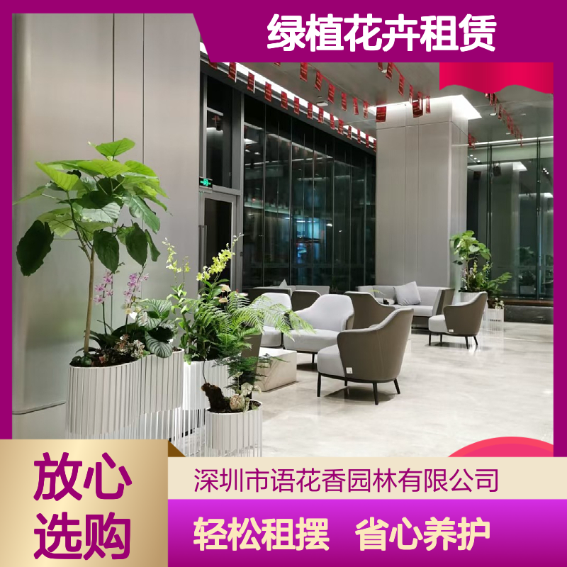 绿植花卉租赁服务 种类齐全 天堂鸟等盆栽 长期短期皆可租