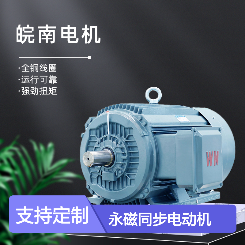 安 徽皖南电机TYCP2系列三相变频驱动永磁同步电动机经销商