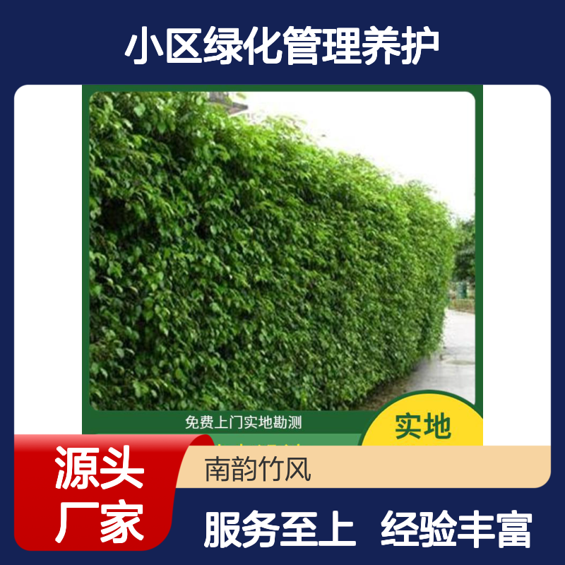 绿化维护 度假村花园养护 小区绿化管理养护一级资质