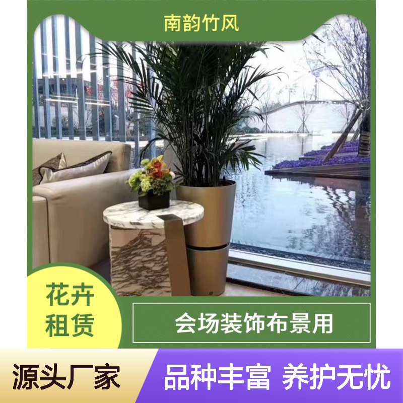 南韵竹风 绿植租摆 西丽绿植养护园林绿化公司