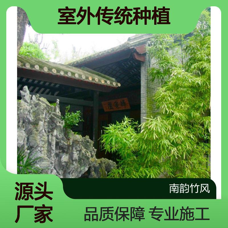 南韵竹风深圳屋顶花园绿化施工 室外传统种植
