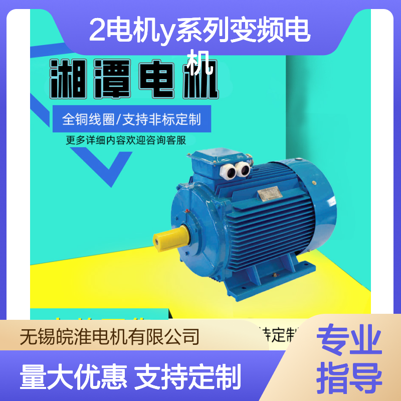 湘1潭2电机Y系列变频电机5-200Hz恒转矩调速带独立风机