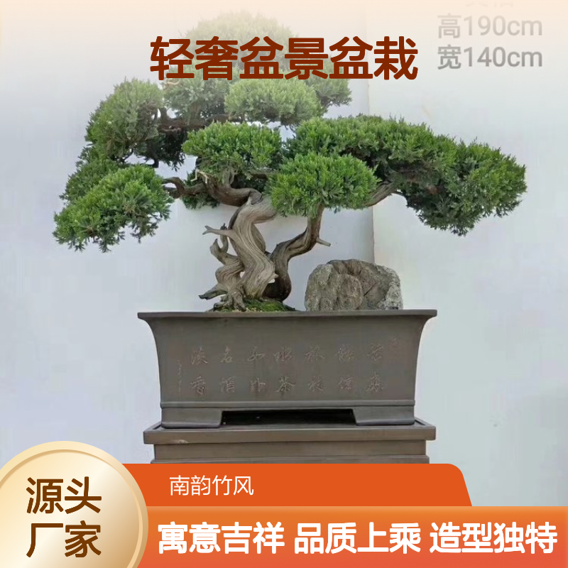 罗汉松盆景 庭院造型盆栽景观 轻奢盆景盆栽 南韵竹风