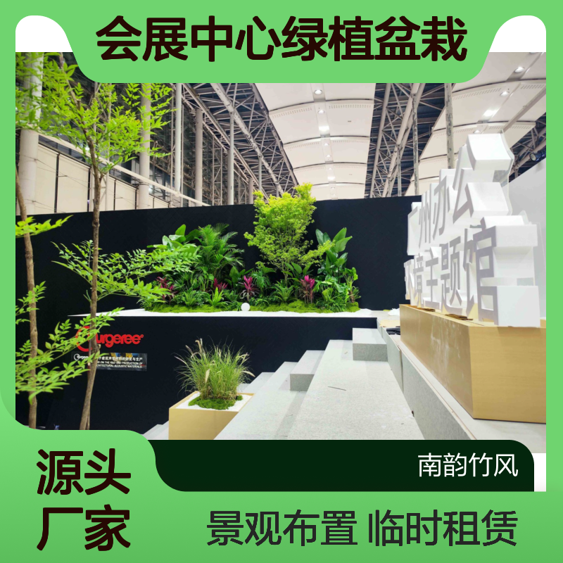 深 圳福 田会展中心绿植盆栽临时租赁 展会场地植物景观布置