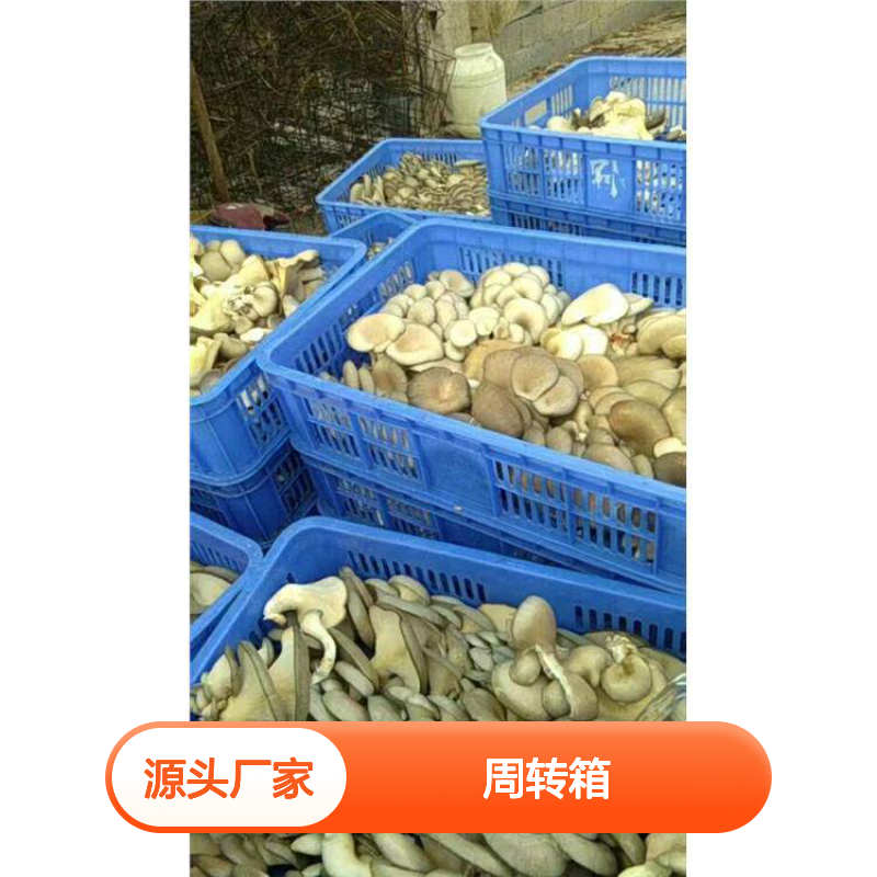 乔丰全新PE材质周转箱 抗压防摔 食品级别 尺寸多样