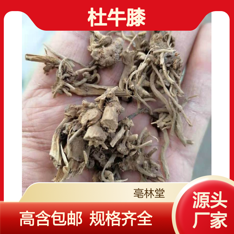 亳林堂药材批发 杜牛膝 无硫货 高含量 原汁原味 保含量 规格齐全 包邮