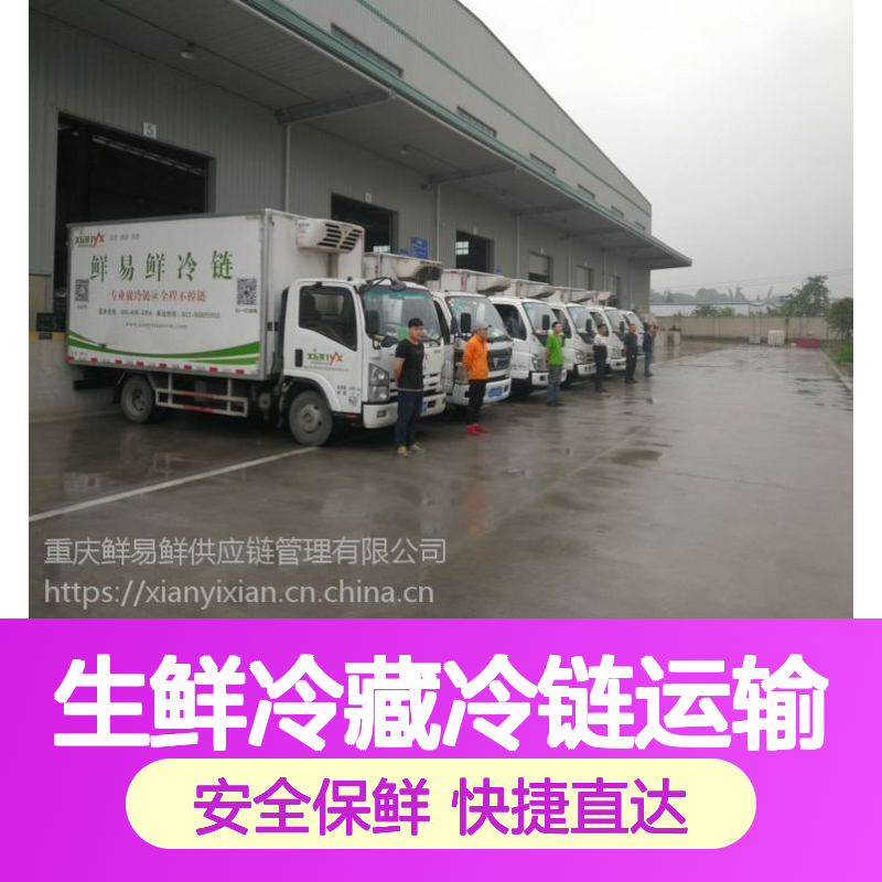 鲜易鲜供应链管理 安全 方便 快捷 蔬菜生鲜冷藏冷链运输物流公司