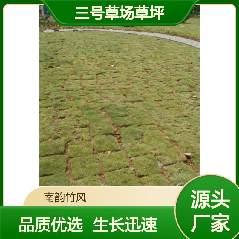兰引三号草场草坪铺装 足球场草坪护理 勤于修剪 生长迅速 南韵竹风