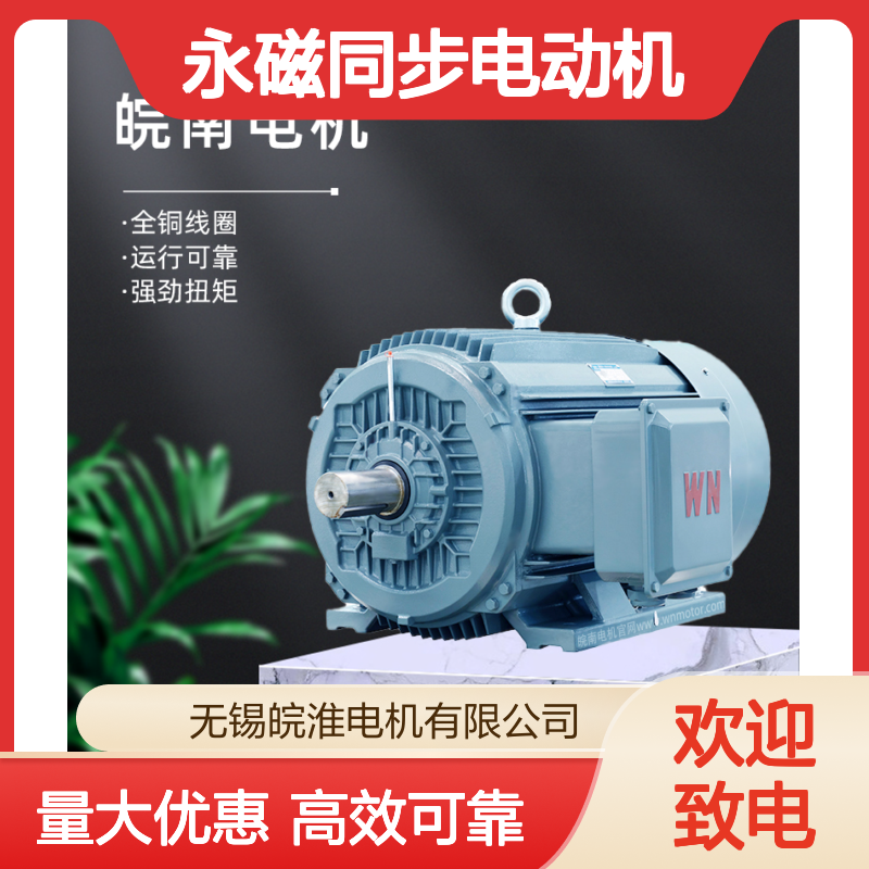 皖南电机马达三相变频驱动永磁同步电动机TYCP2-90S-8 0.55KW厂家