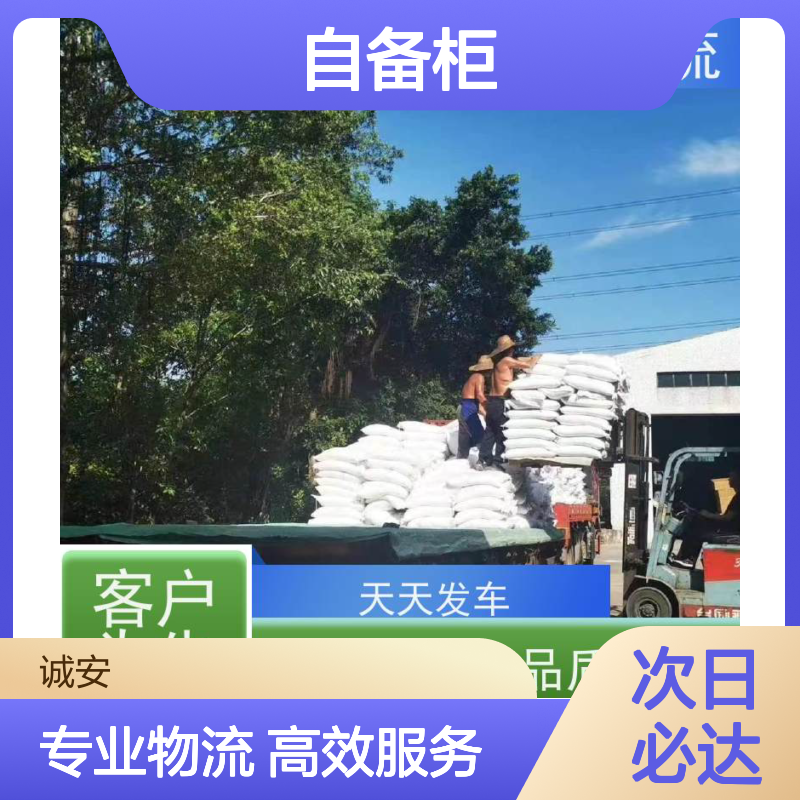 诚安物流40尺自备柜东莞到广州出口报关次日到