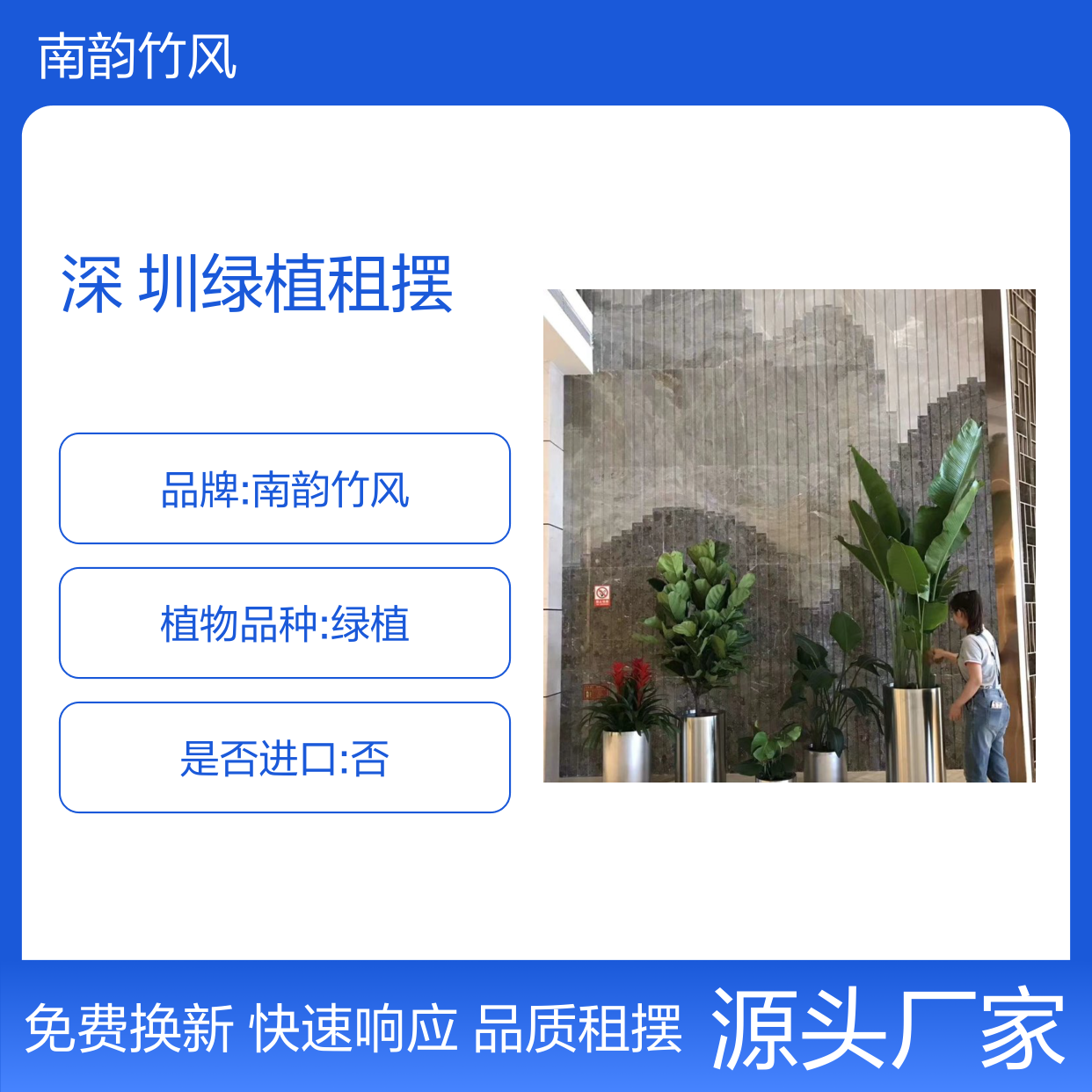 园林绿化深 圳绿植租摆公司 区域性服务 三分种响应 1小时更新
