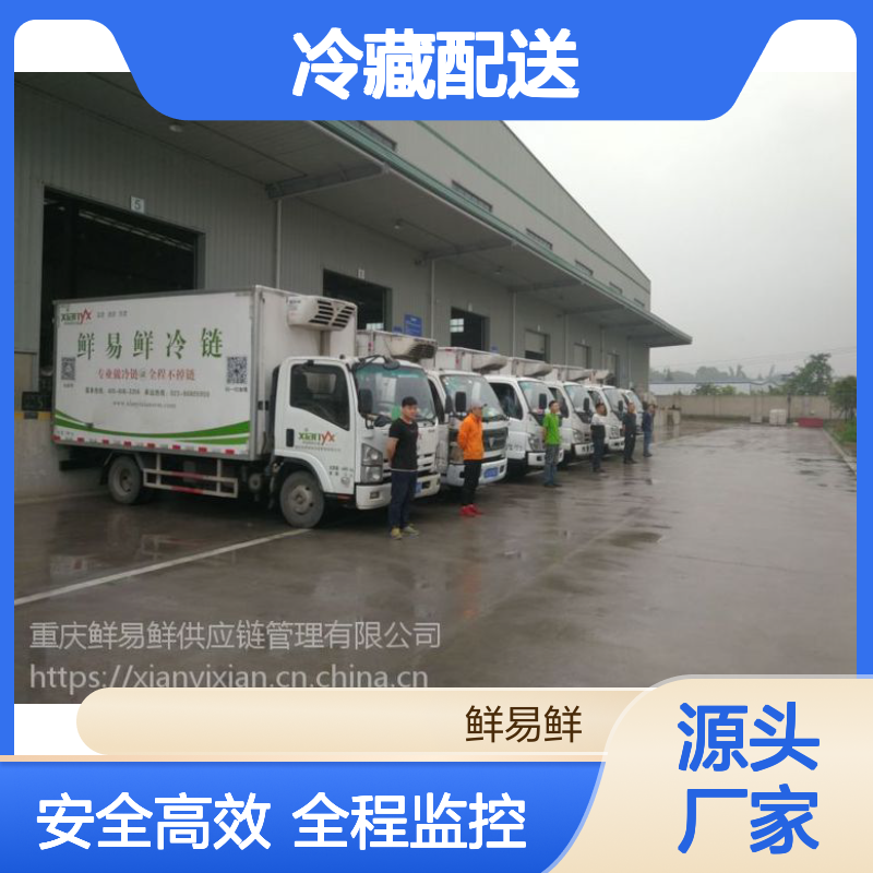 广州佛山-成都,重庆冷冻物流 冷藏配送 冷冻运输 冷链物流 生鲜冷链