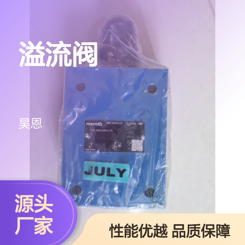 DBDS20P1X/315 DBDS20P18/315 R900424278 德国力士乐REXROTH溢流阀