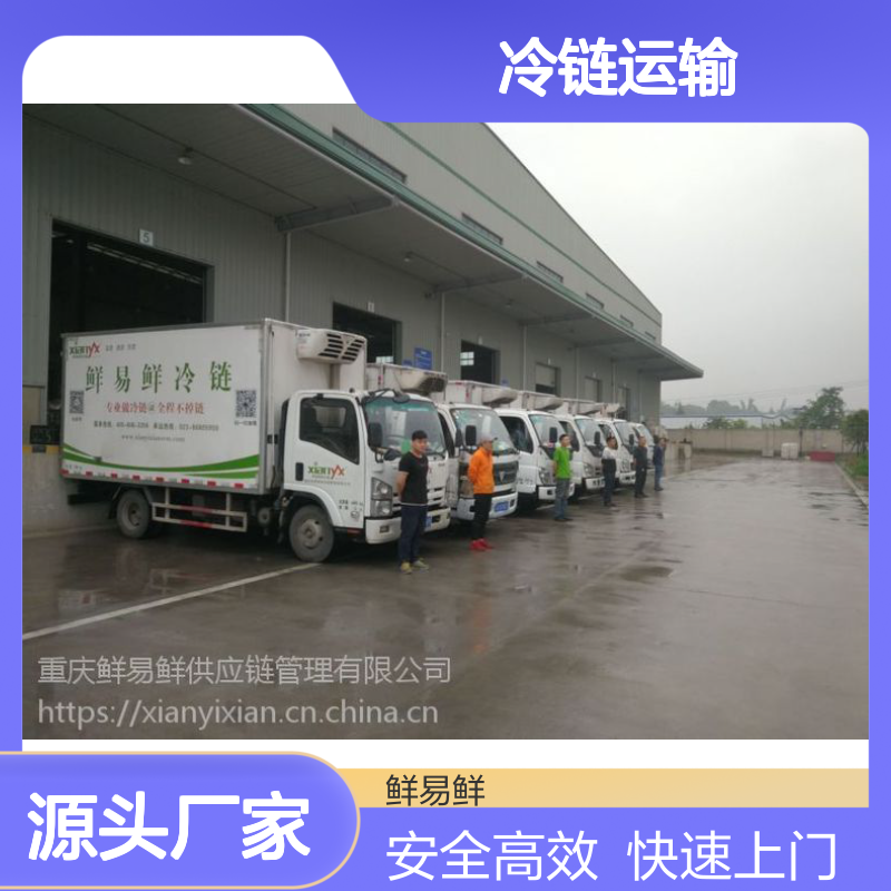 冷藏冷链冷冻配送 冷链运输快速上门取货 安全高效 24小时服务
