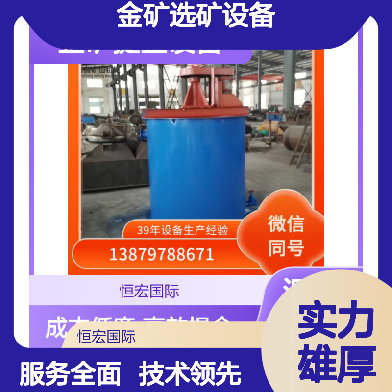 全套矿山机械CLP选矿设备 500吨处理量 金矿提金高效设备