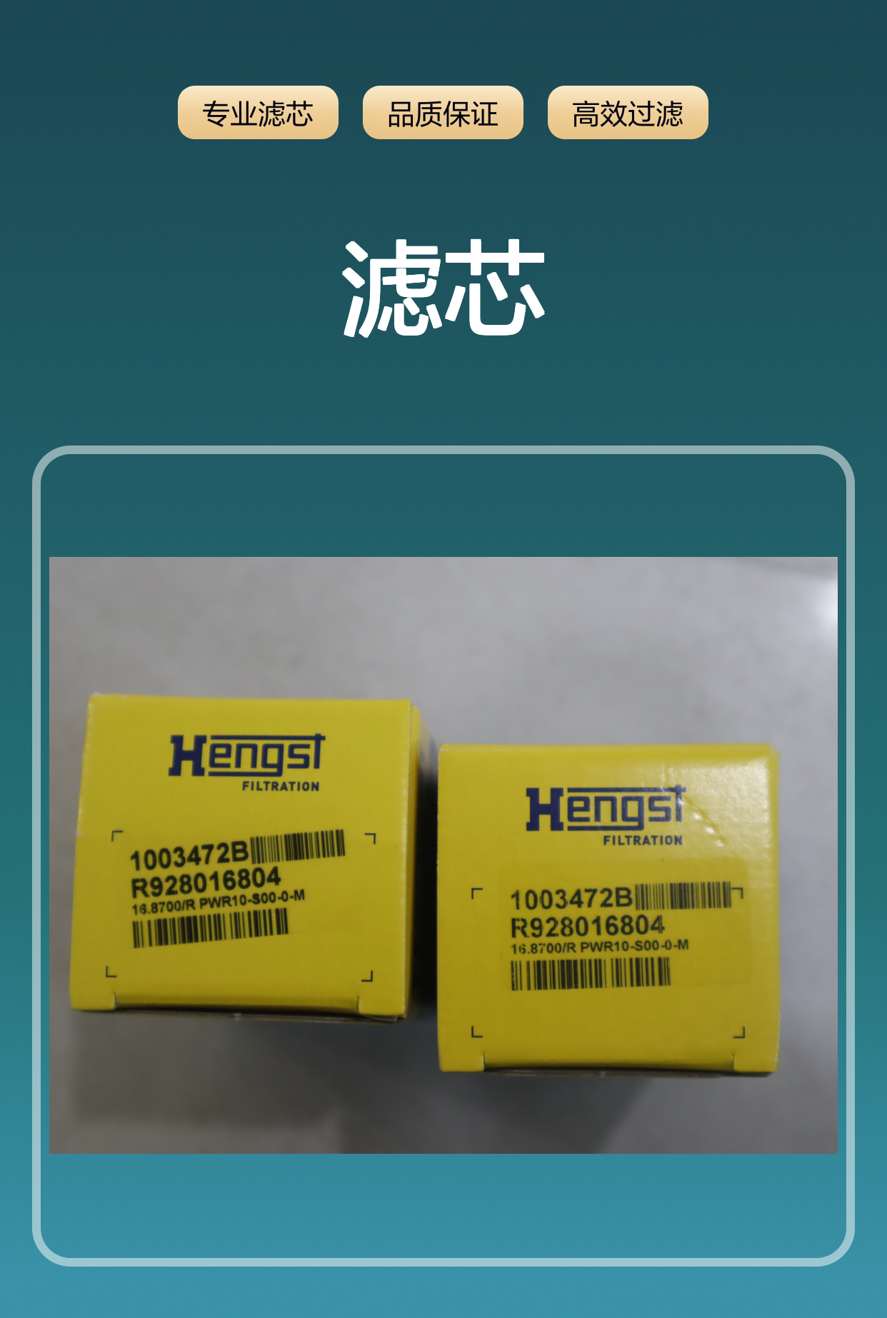 R928016804 16.8700/R PWR10-S00-0-M 1003472B 汉格斯特HENGST滤芯