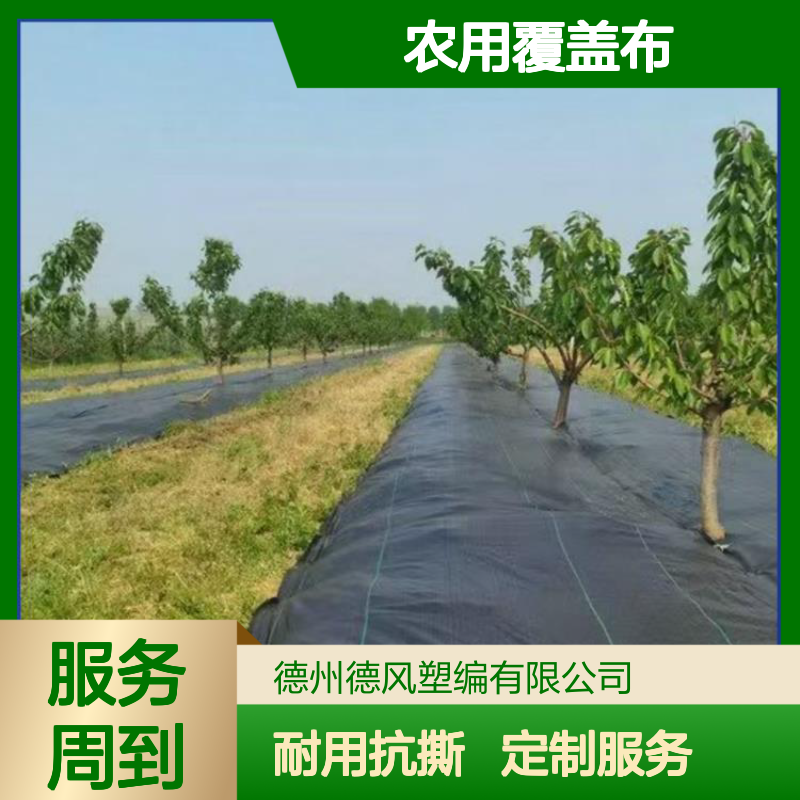 德风塑编 农用覆盖布 轻盈便携设计 提升作物生长环境