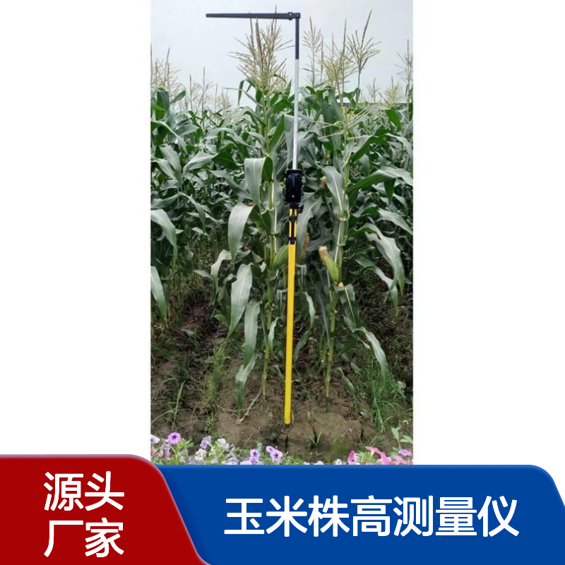 玉米株高测量仪 便携式精准测量工具 科研必备