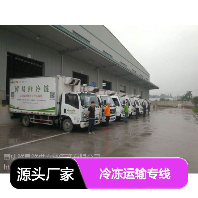 江门到深圳冷链物流企业 冷冻运输专线 时效优先 鲜易鲜低温