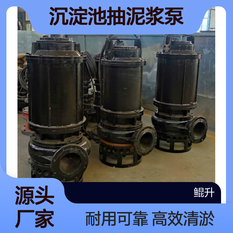 沉淀池抽泥浆泵 潜水型泥沙泵 抽沙泵清淤泵源头厂家