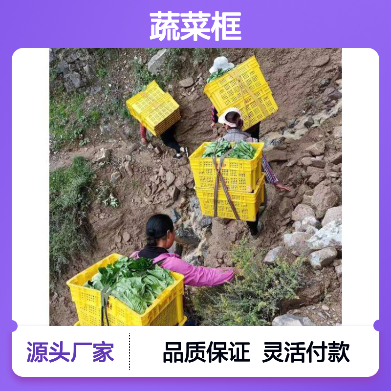 乔丰塑胶多种规格 蔬菜框 周转便捷 全新料品 质轻坚固