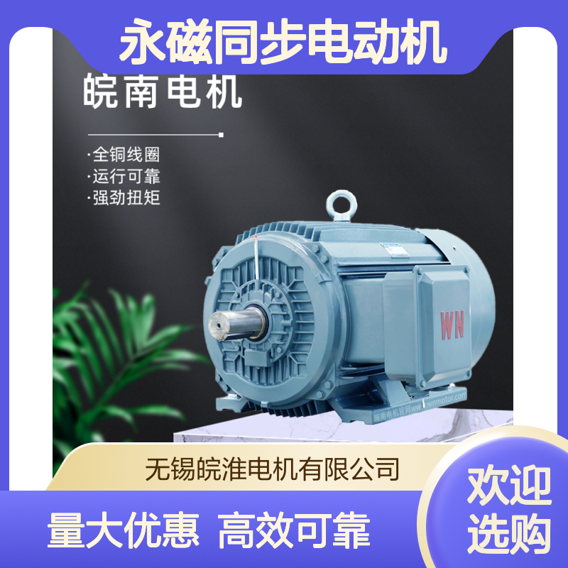 皖南电机马达变频驱动永磁同步电动机TYCP-160M2-2 15KW一级能效