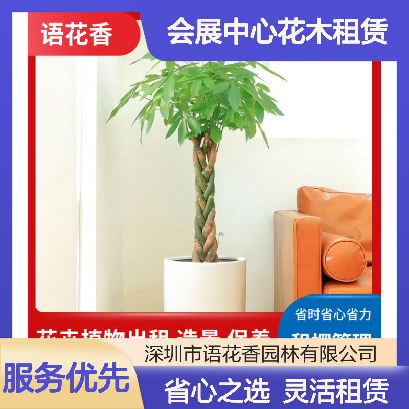 会展中心花木租赁 绿植盆栽组合 专业团队布置点缀 省时省心