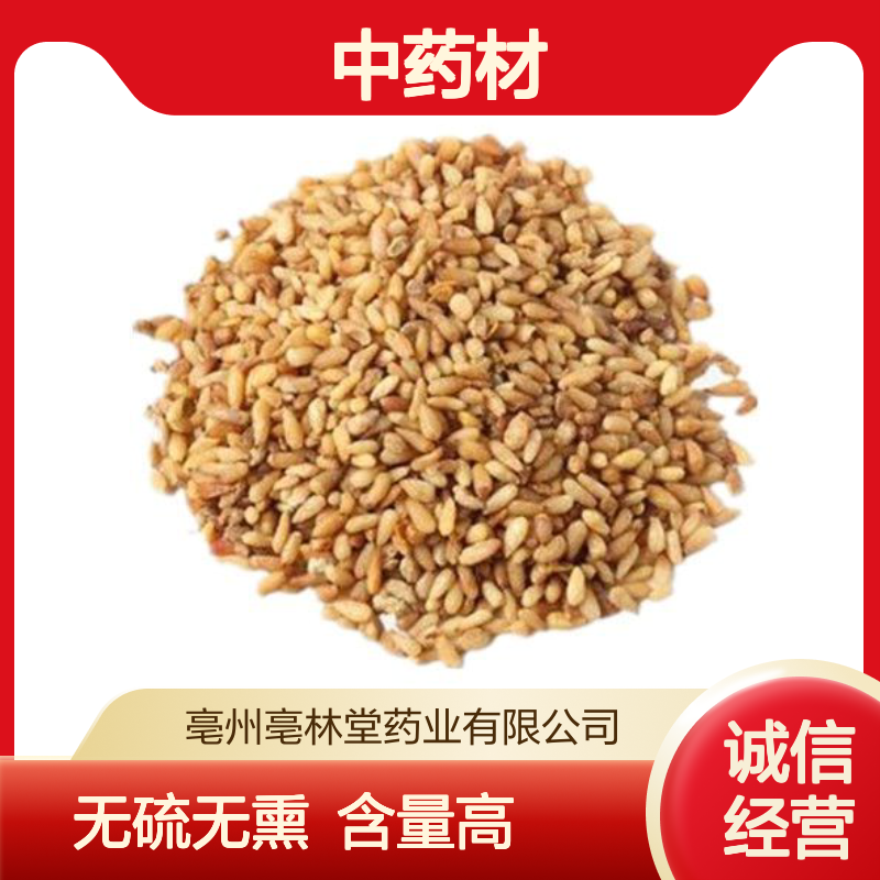 亳林堂中药材批发 柏子仁 选货 无硫无熏 含量高 规格齐全 包邮