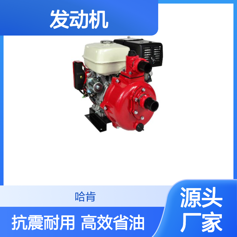 哈肯国际供应 188汽油机/192F柴油机 龟泵 发动机