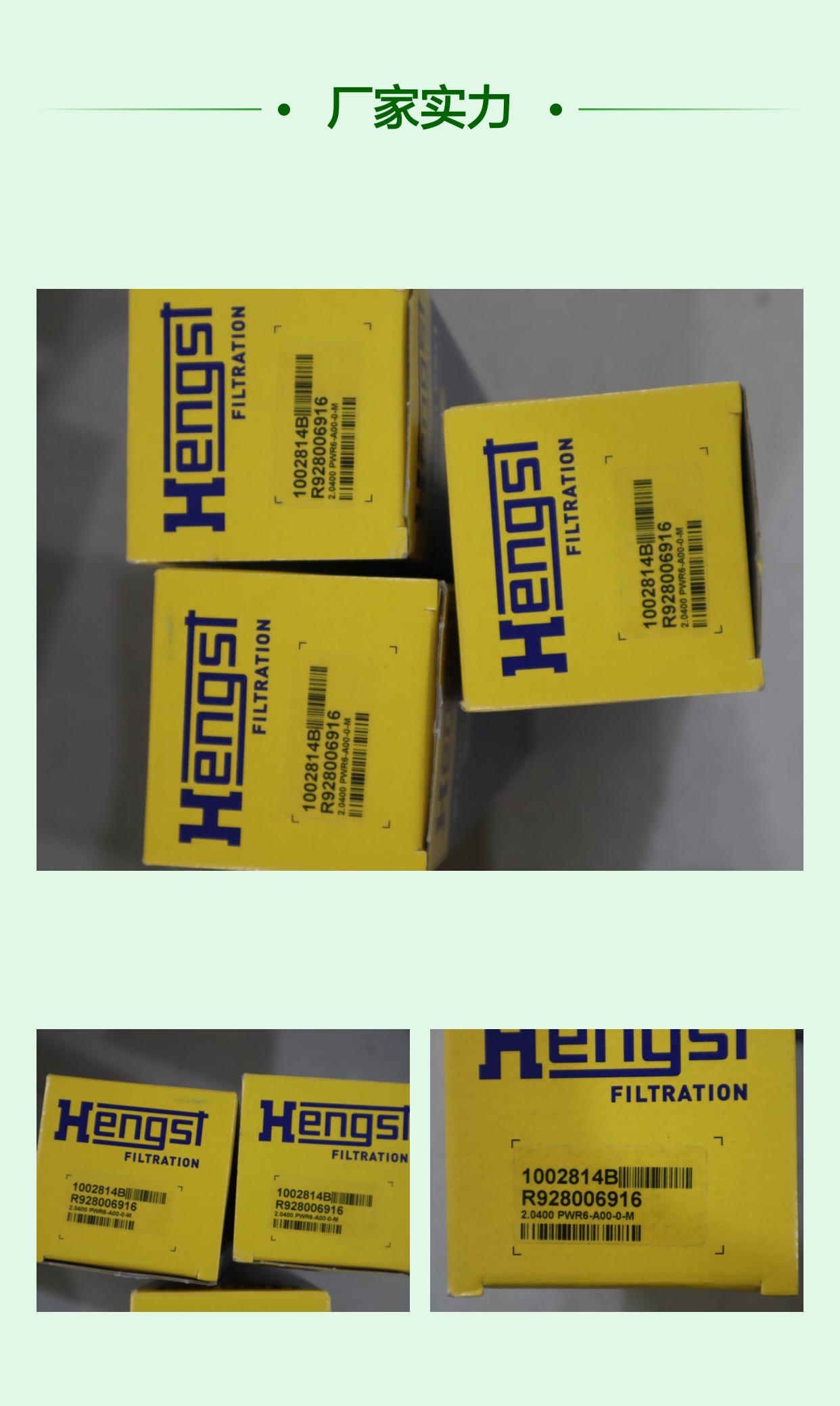 2.0400 PWR6-A00-0-M R928006916 1002814B 德国汉格斯特HENGST滤芯