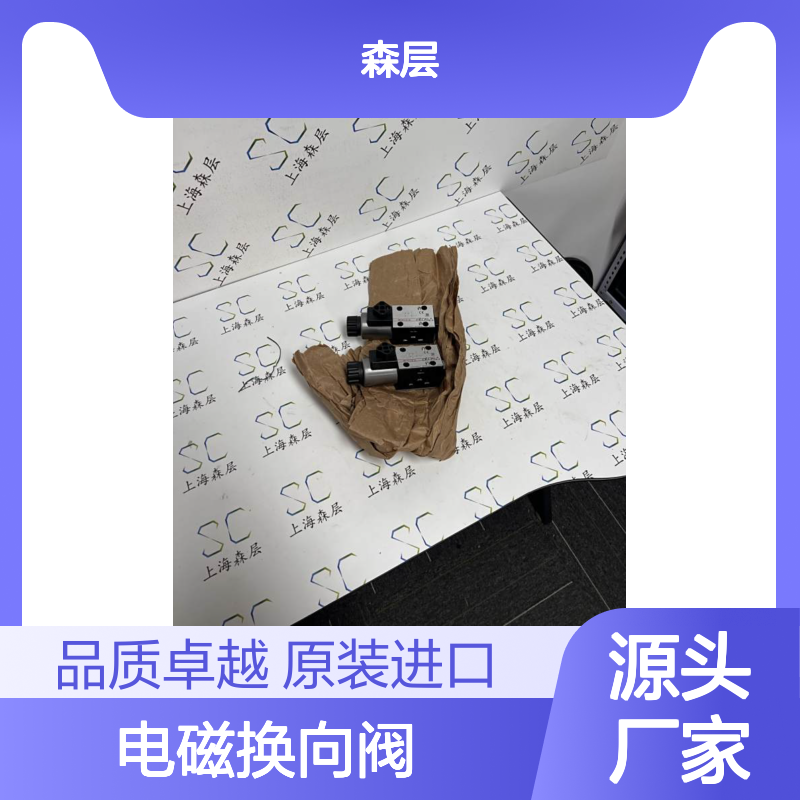 原装进口ATOS阿托斯电磁换向阀SDHE-0631/2 DC10S DC24V