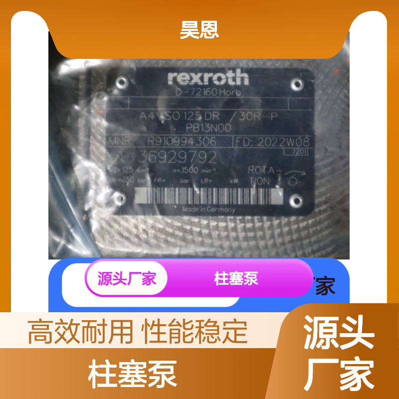 A4VSO125DR/30R-PPB13N00 R910994306 德国力士乐REXROTH柱塞泵