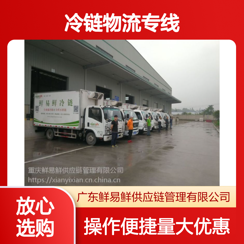 鲜易鲜冷链物流专线 广东至海口冷冻运输 1-3天高效送达服务