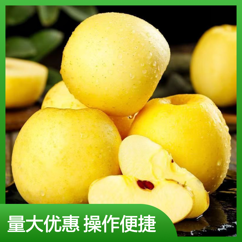 鲜易鲜冷链运输 维纳斯黄金苹果 冷藏物流 脆甜多汁果肉