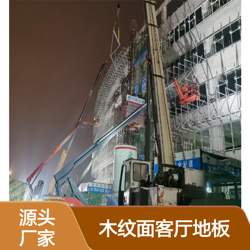 彩色木纹面客厅地板的现代美学与自然韵味 产品功能 环保材料
