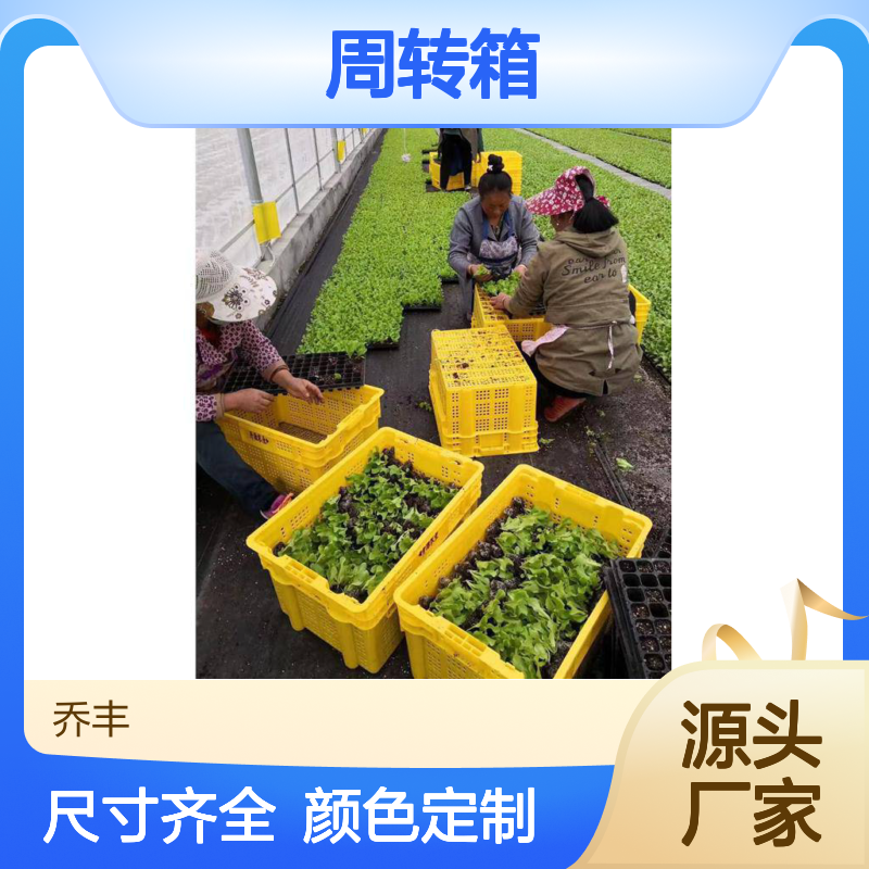 乔丰塑料周转箱 多色可选 便捷转运 食品级材 环保耐用