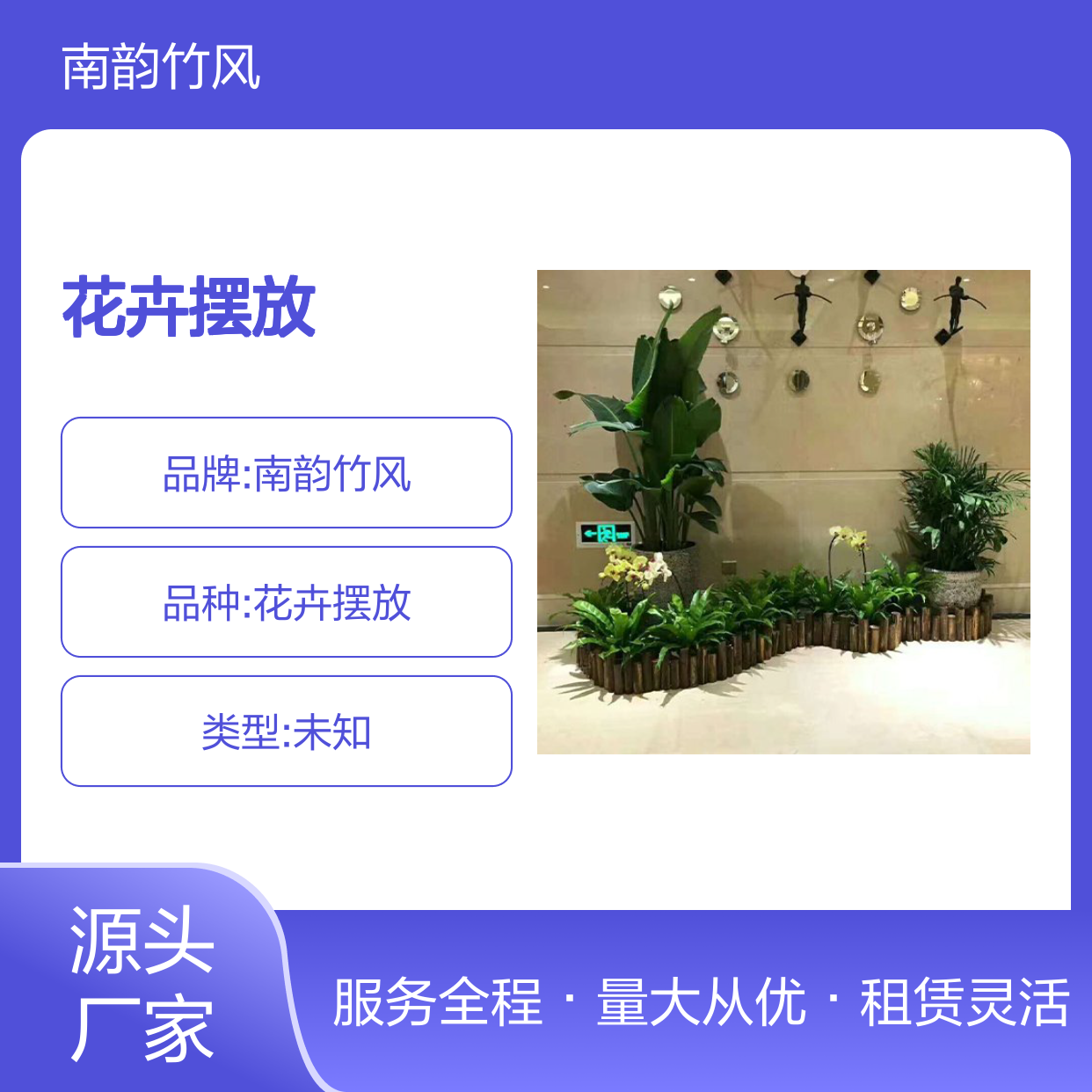 南韵竹风花卉摆放 绿植盆栽租赁服务 品种多样