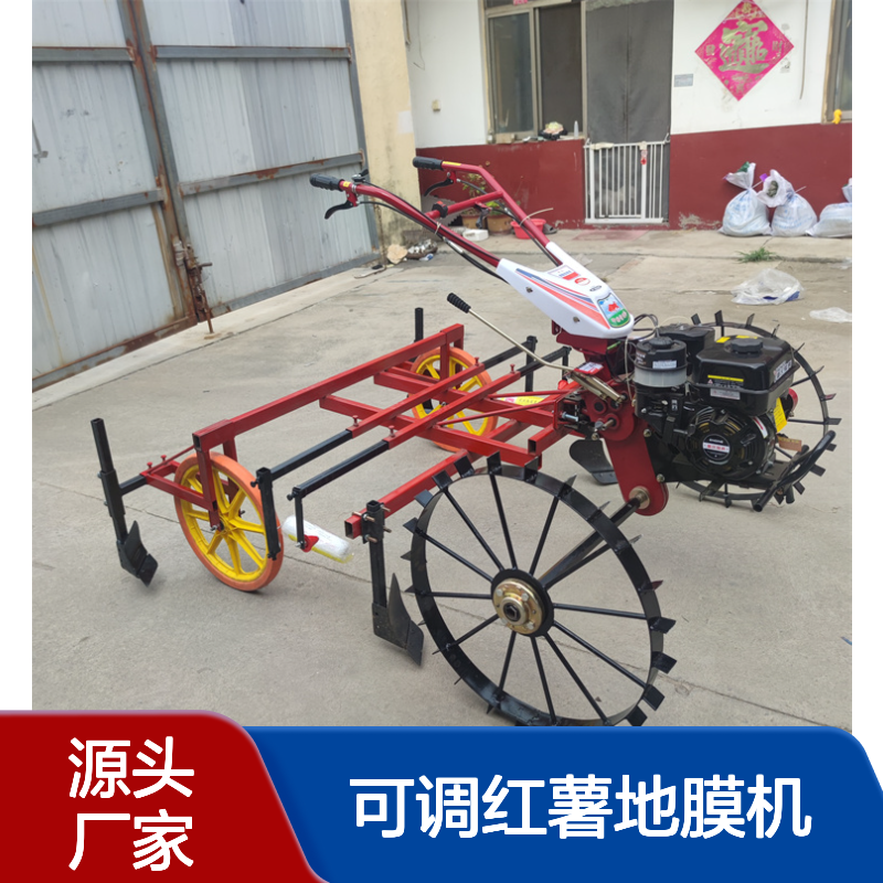 图1