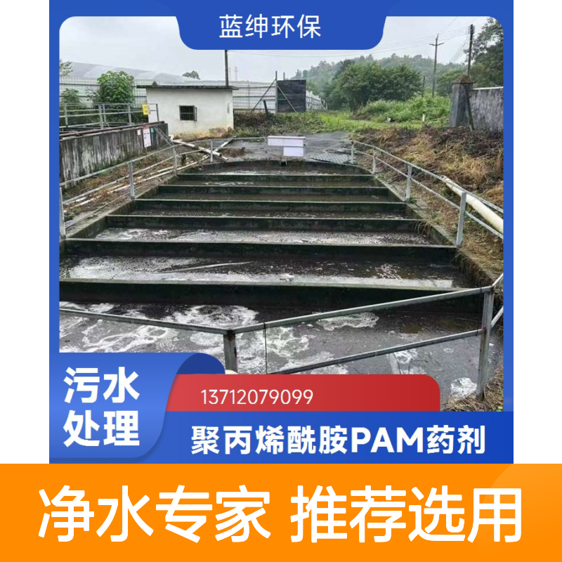 屠宰废水专用 聚丙烯酰胺絮凝剂 CPAM 天宇环保品牌