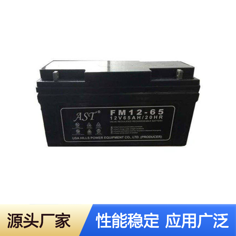 AST艾斯特铅酸免维护蓄电池12V14AH 适用于电梯监控消防应急